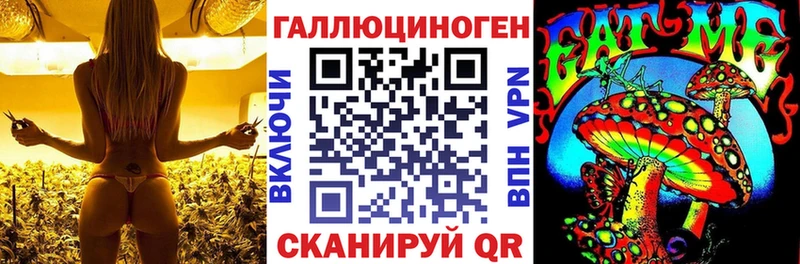 Купить закладки  Иркутск  Галлюциногенные грибы GOLDEN TEACHER 